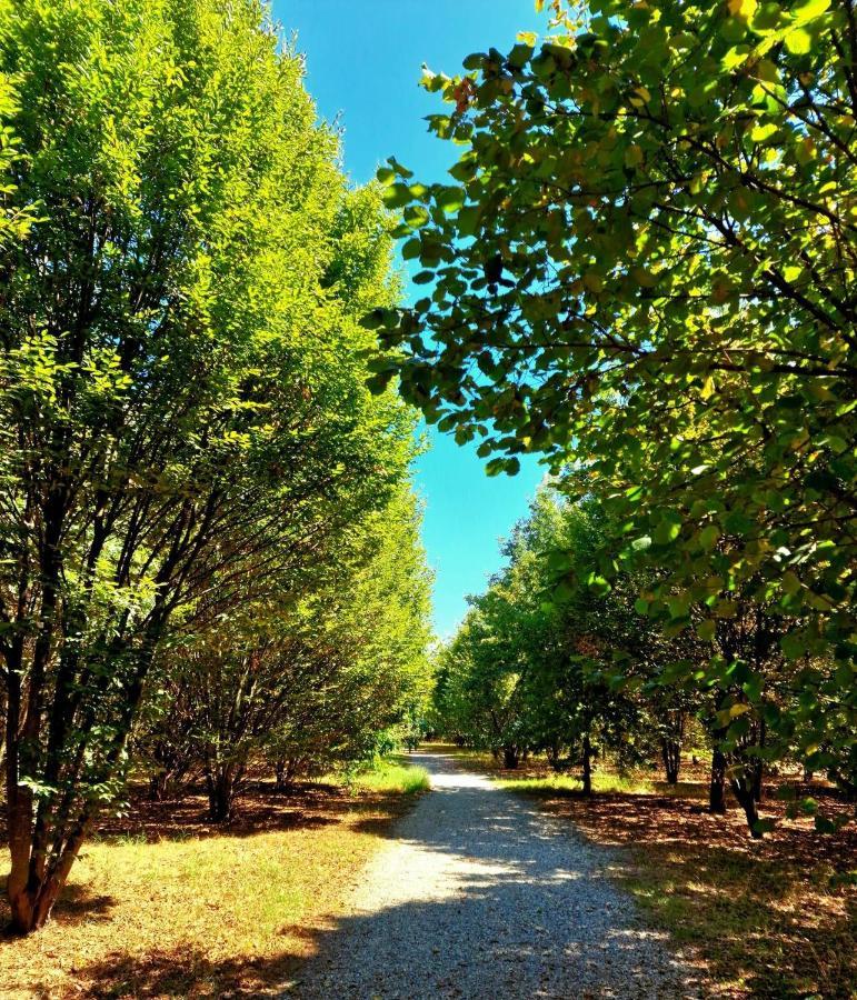 Pacy - Park City Home San Giuliano Milanese Kültér fotó