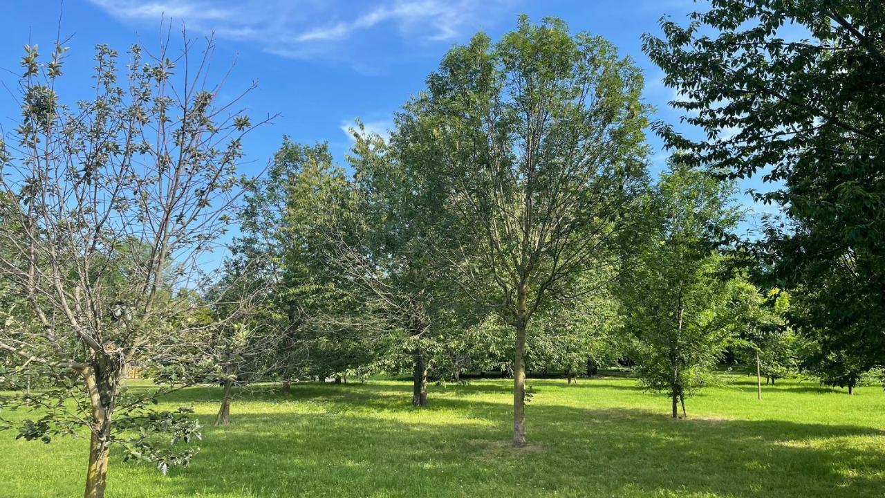 Pacy - Park City Home San Giuliano Milanese Kültér fotó